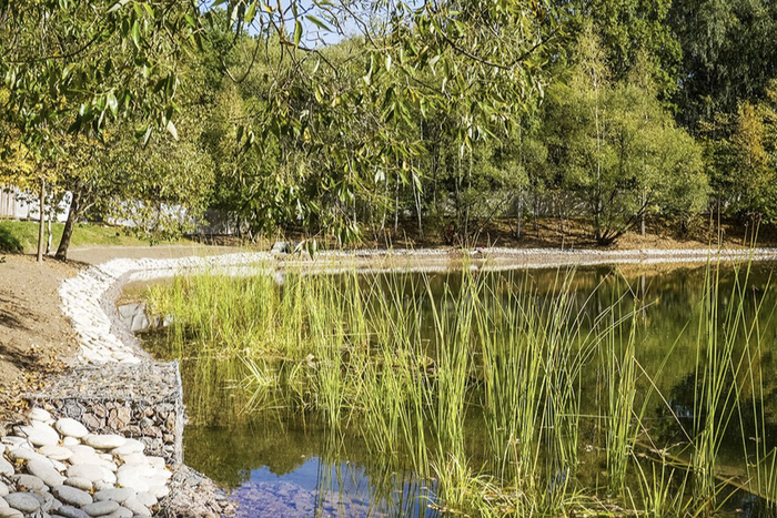 Сенатор Святенко: Благоустройство прудов в Марьино станет примером использования жителями техсооружений