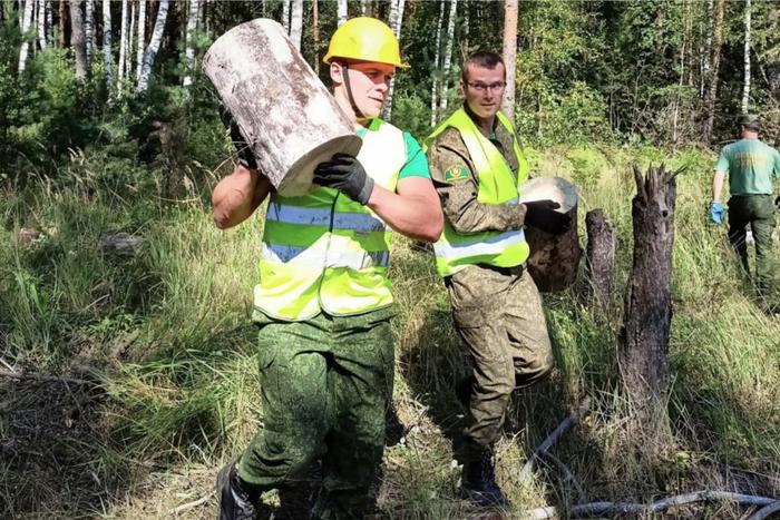 К экологической акции "Чистый лес" присоединились 269 участников