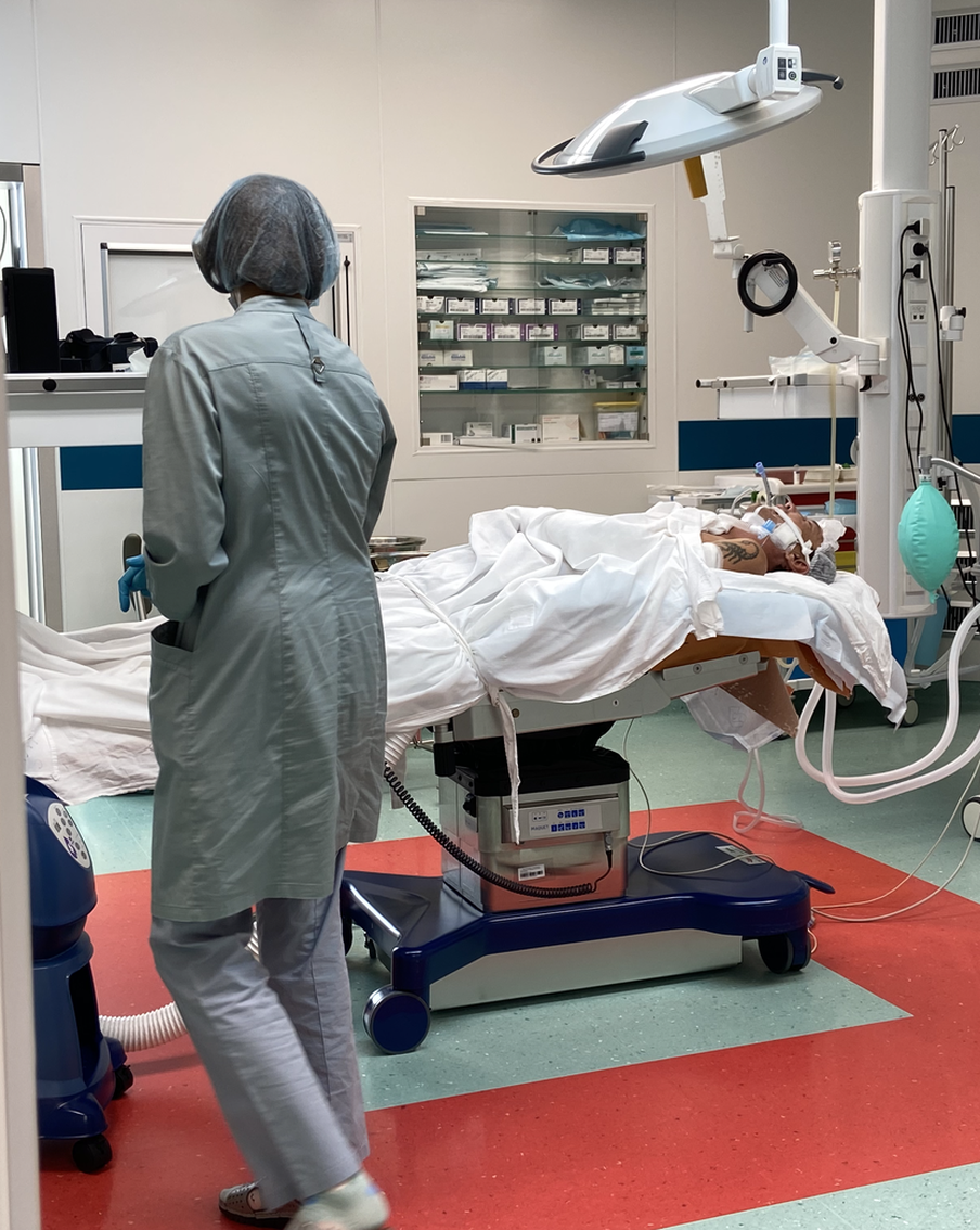 В Подмосковье медведь подрал человека: как пострадавшего тащили с того света