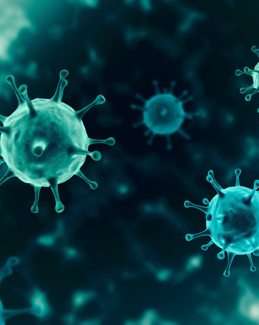 "Эрис" легко подхватить, но он не так опасен