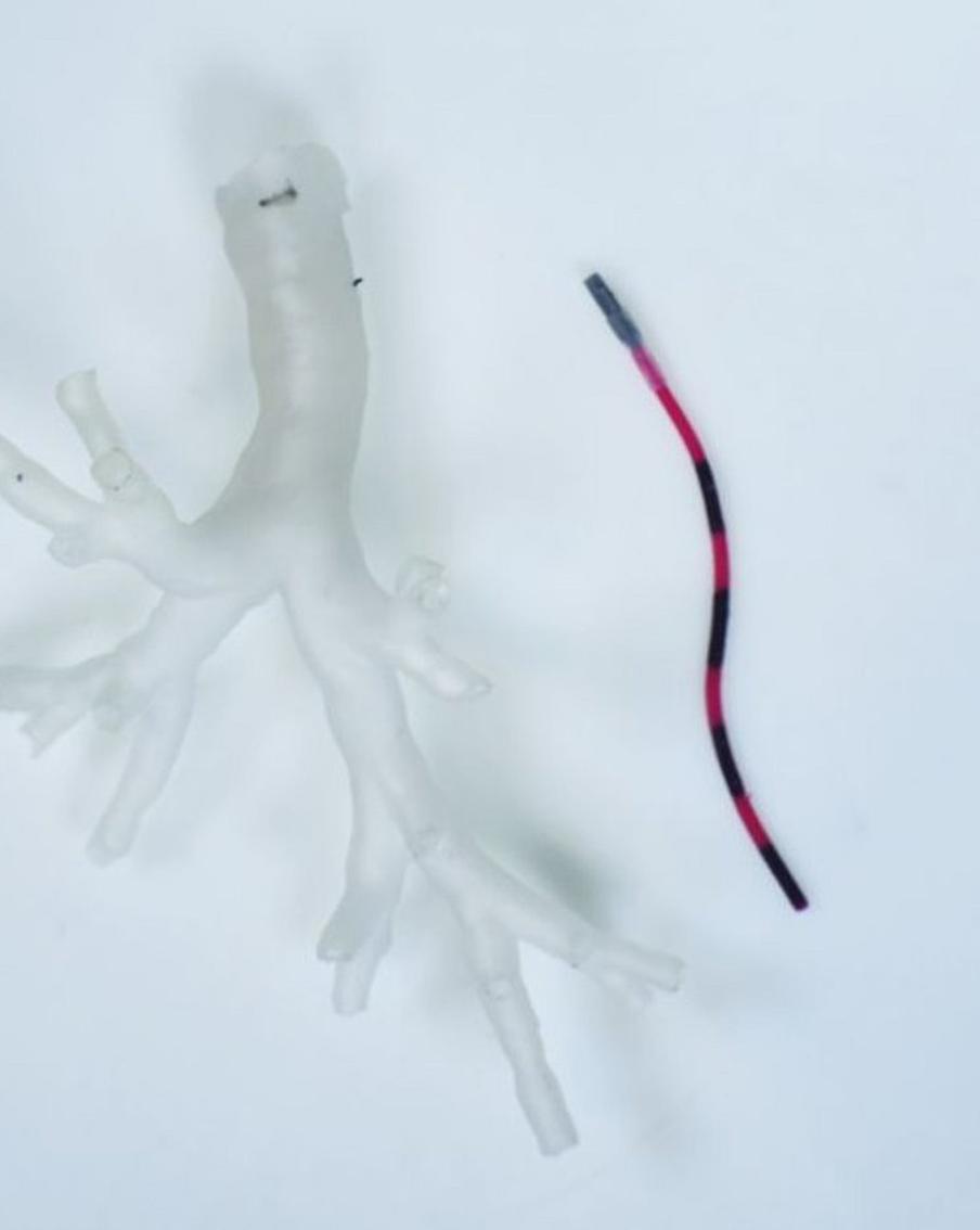 Щупальце, способное вылечить рак лёгких