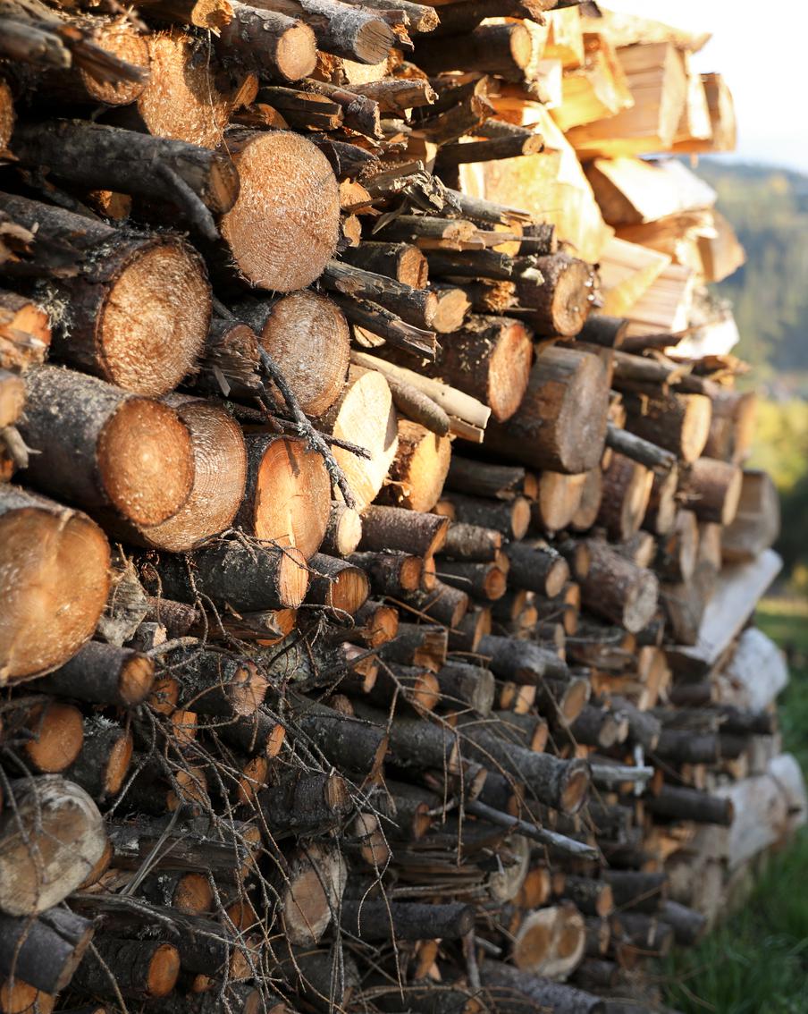 Жители Подмосковья 822 раза подавали заявки на заготовку дров с начала года