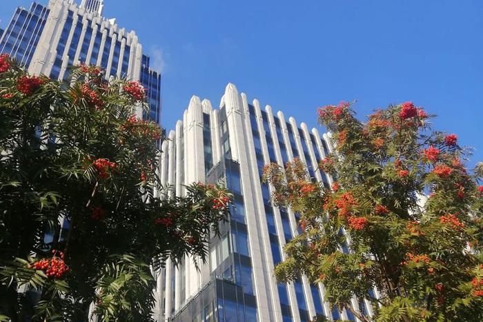 Синоптики уверяют, что дожди пришли не навсегда. Скоро снова потеплеет