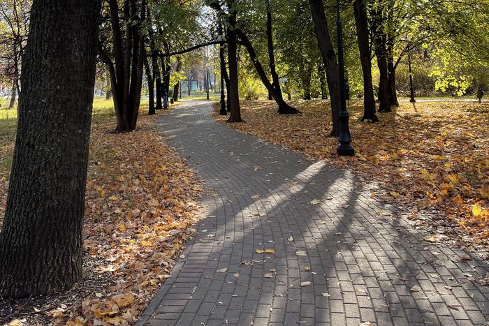 Синоптик рассказал жителям Москвы и Подмосковья о потеплении в грядущие выходные