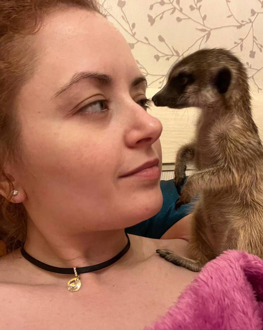 Сурикат и Джессика.