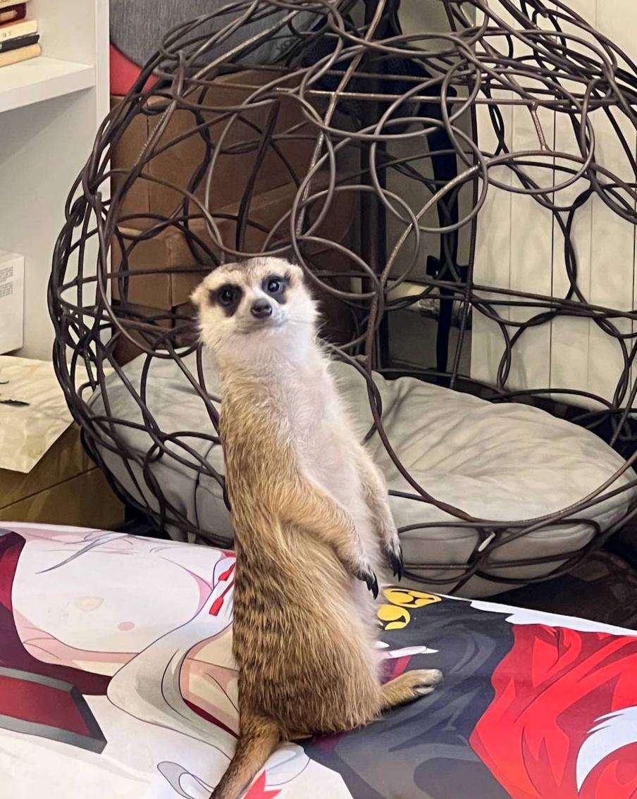 Дома они тоже вматриваются – на всякий случай.