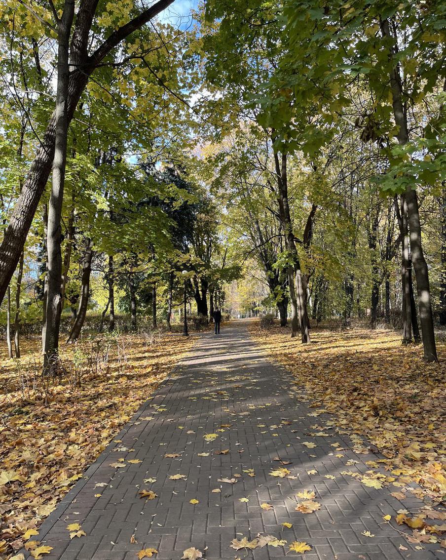 В Москве и области ожидается погожий день, вечером пойдёт дождь