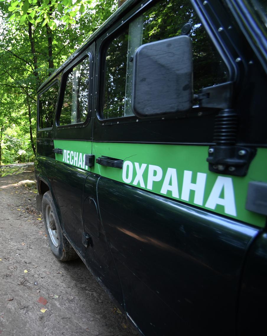 В Московской области стартовало мероприятие "Дачник"