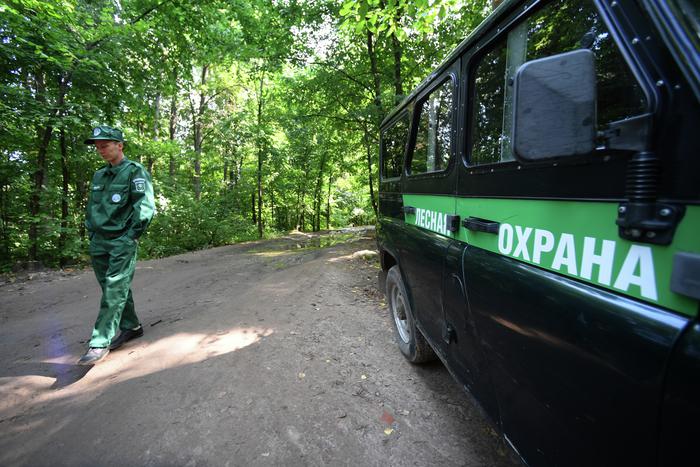 В Московской области стартовало мероприятие "Дачник"
