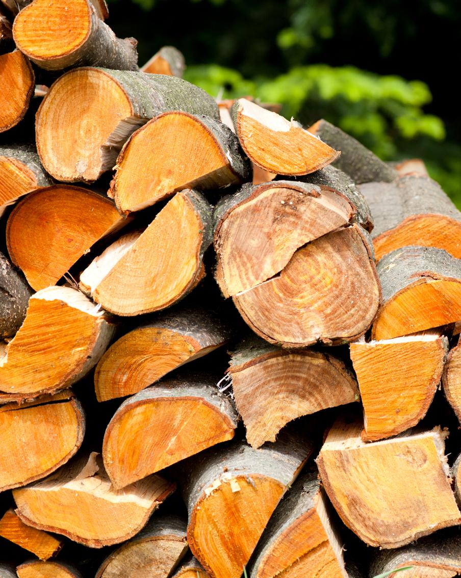 Комитет лесного хозяйства Подмосковья дал рекомендации по выбору типа дров для заготовки
