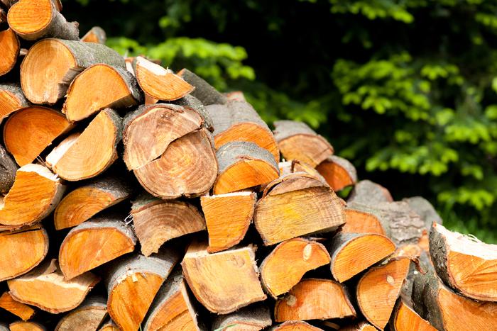 Комитет лесного хозяйства Подмосковья дал рекомендации по выбору типа дров для заготовки
