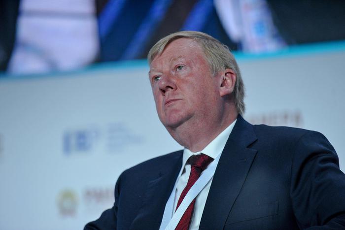 Депутат назвал Чубайса "политическим аллергеном" и пообещал проверить его на вывод капитала из России