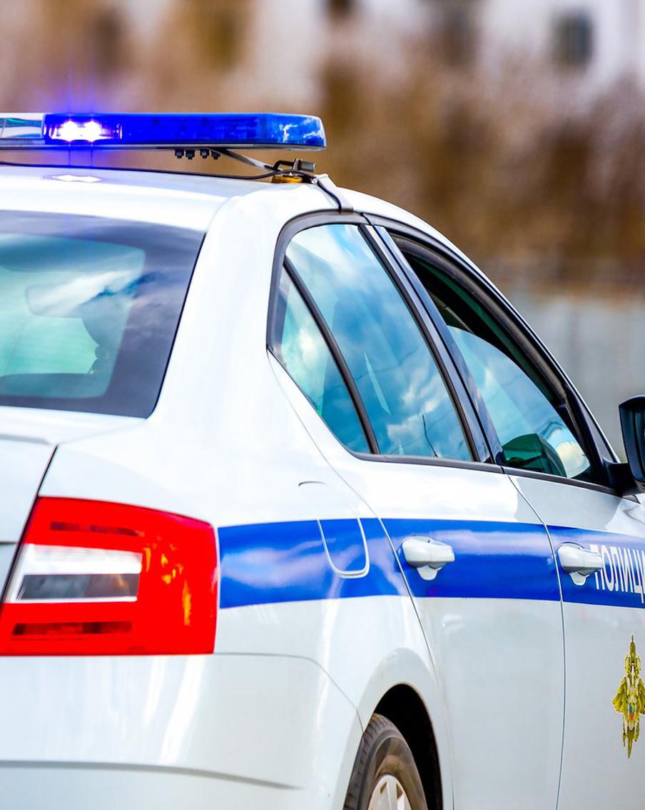 У возможных соучастников избиений прохожих в Петербурге проходят обыски