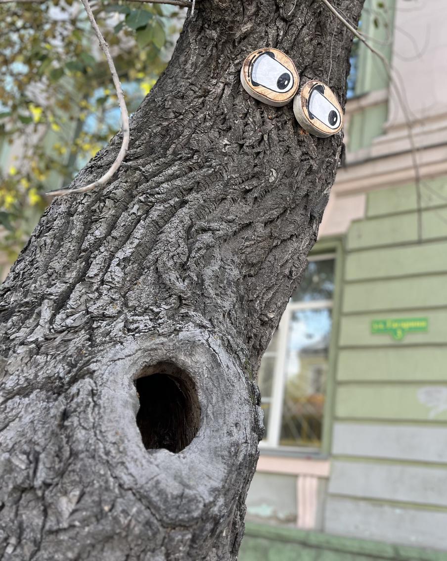 Мёртвые деревья превратили в монстров: томские урбанисты придумали необычный проект