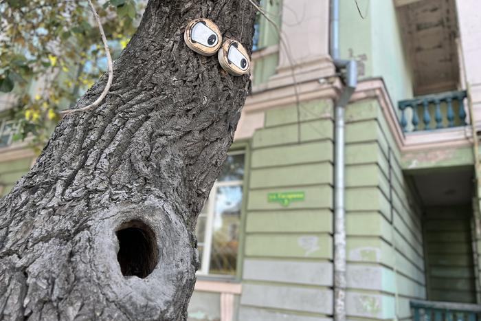 Мёртвые деревья превратили в монстров: томские урбанисты придумали необычный проект