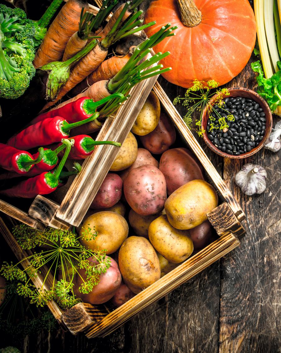 Как сохранить до весны выращенный урожай и луковичные