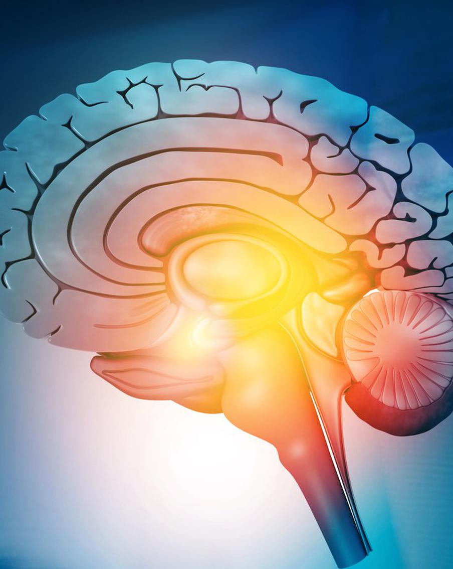 Британские учёные разработали уникальный способ 3D-печати клеток мозга