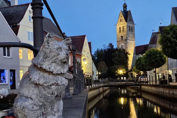 В немецком городе установили памятник любимому коту Чикко