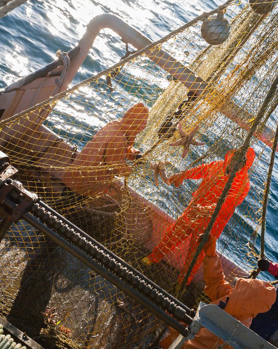 Японские рыбаки пожаловались на антироссийские санкции