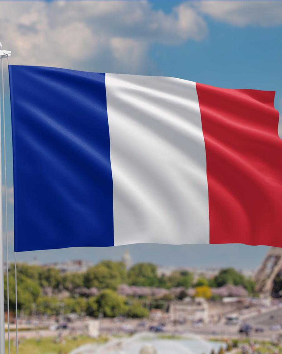 Французская разведка обвинила Россию в создании "паники из-за клопов"