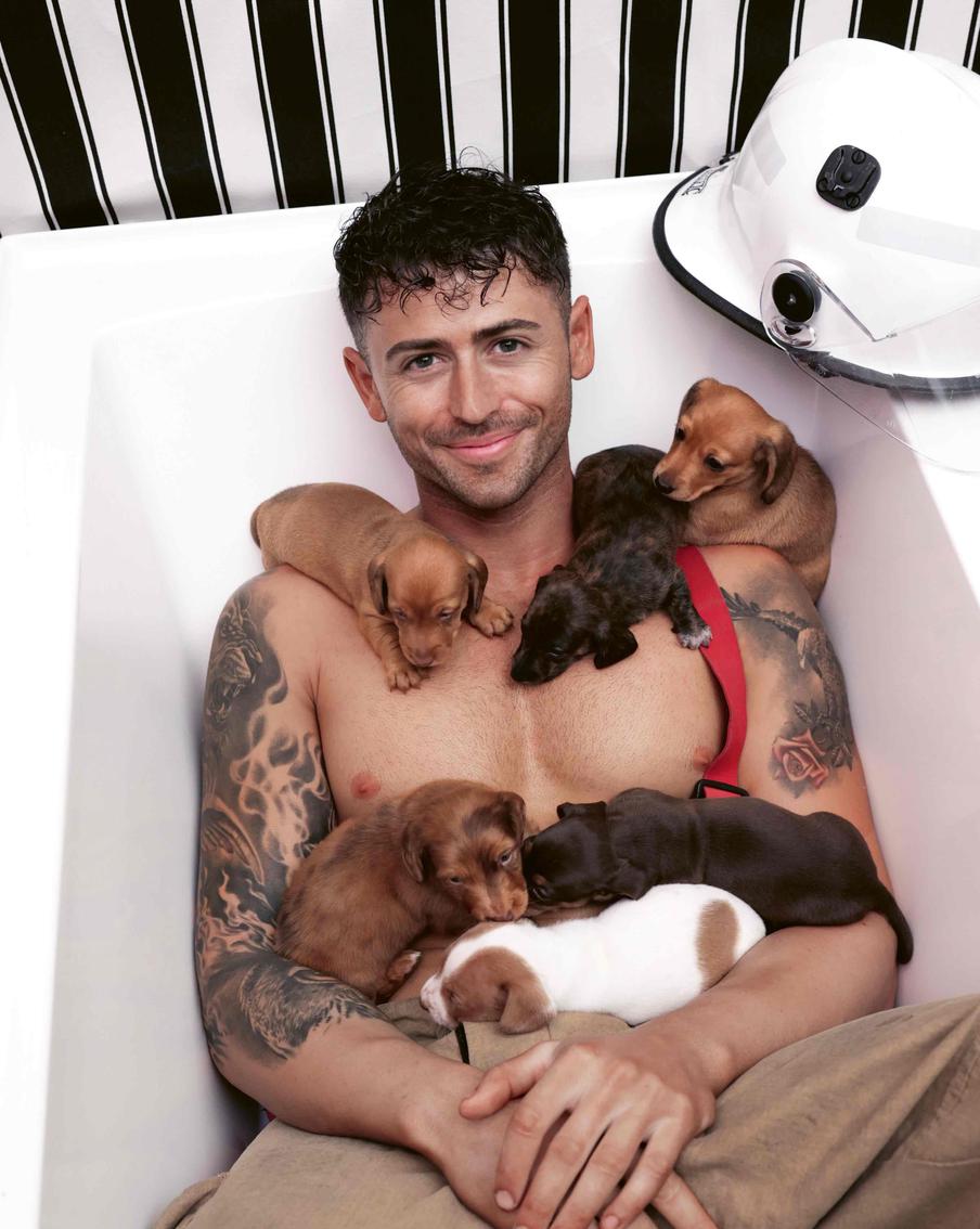 Пожарный и собачки