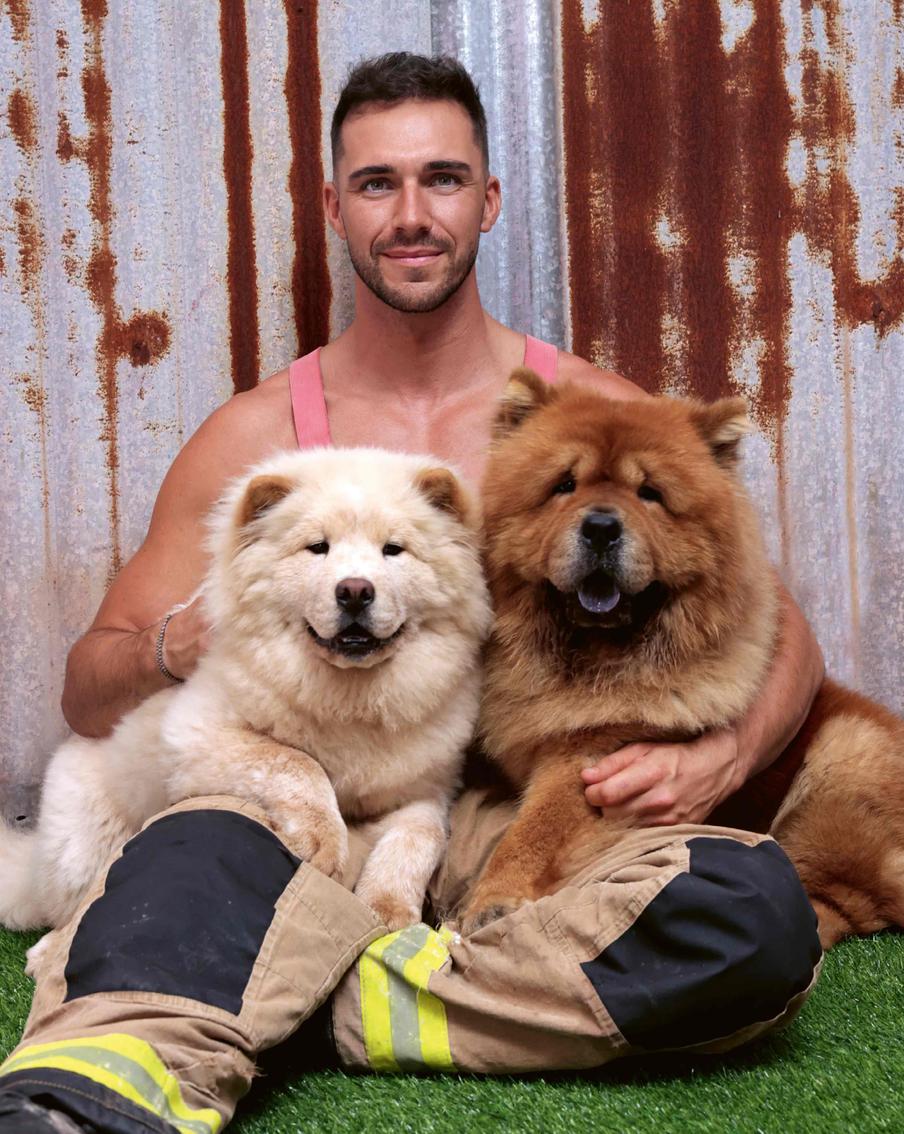 Огнеборец и сразу две собаки