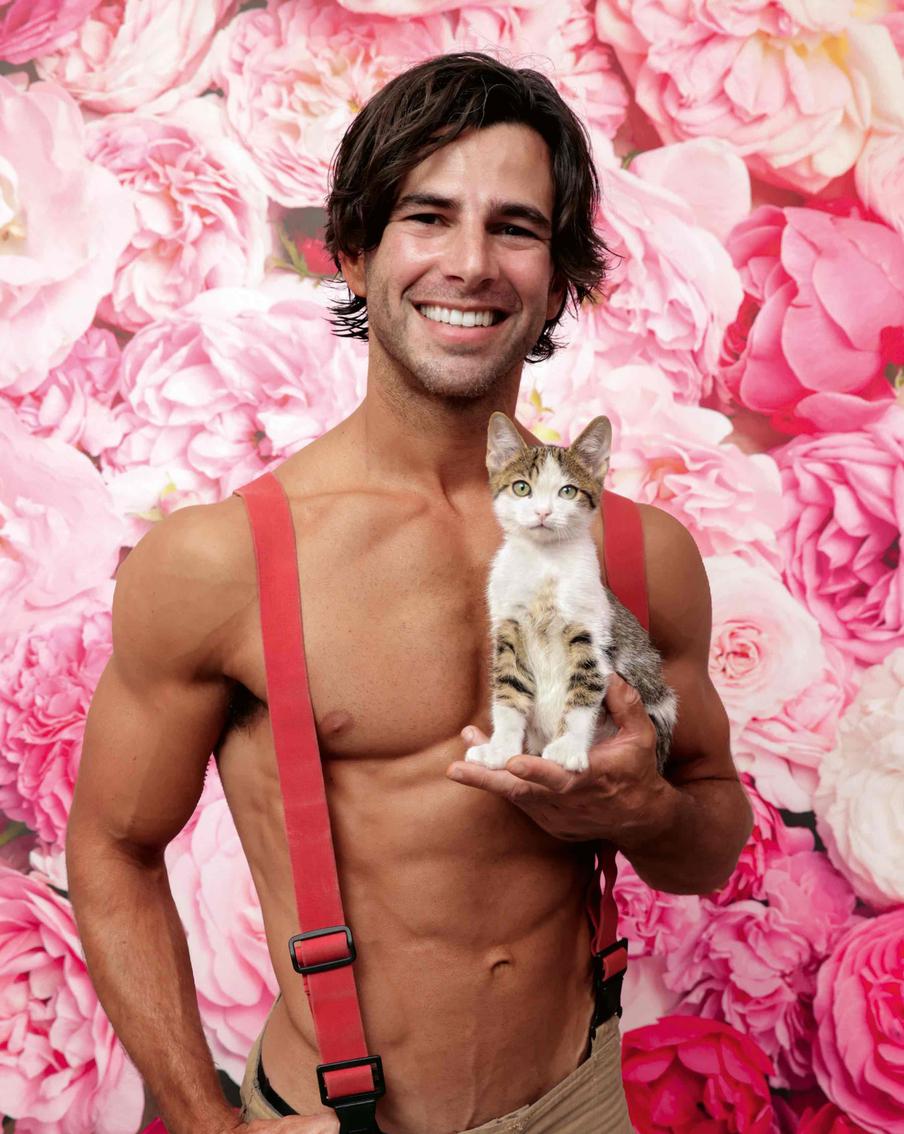 Огнеборец и кошечка