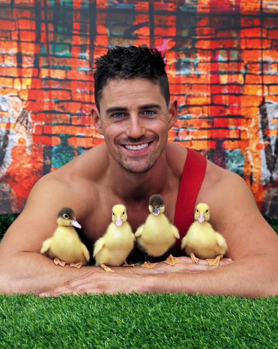 Огнеборец и птенчики