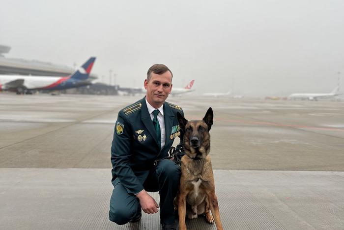 Герой таможни после работы играет с мячиком и ест совсем немного сухого корма