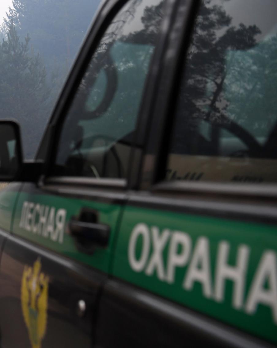 С начала этого года лесоохрана провела около 40 тысяч патрулирований