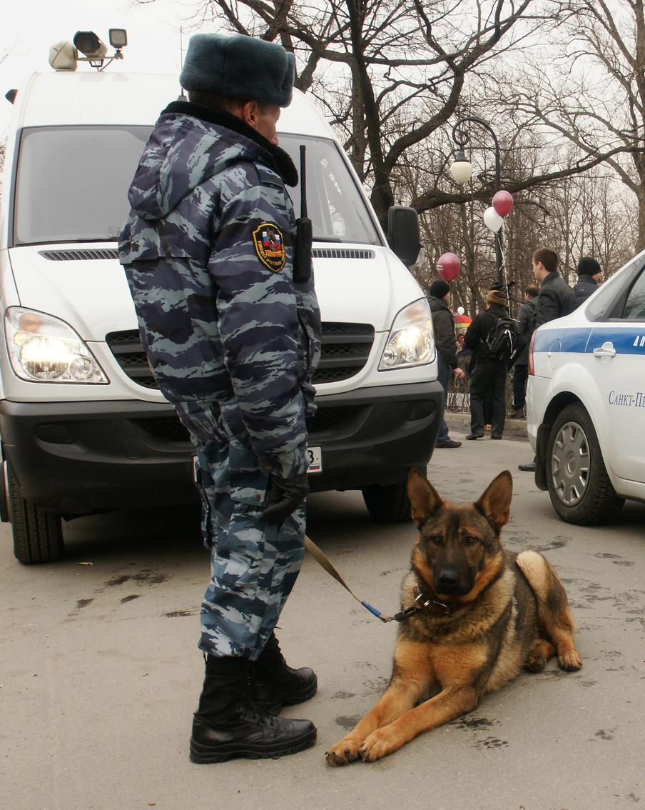 Поймавший грабителя 72-летний дедушка будет награждён