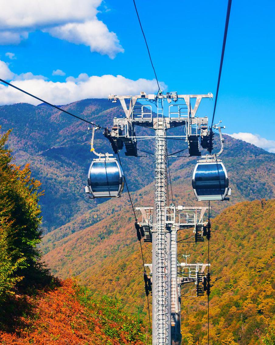 Российские родители повезли своих детей в Краснодарский край, Подмосковье и Санкт-Петербург