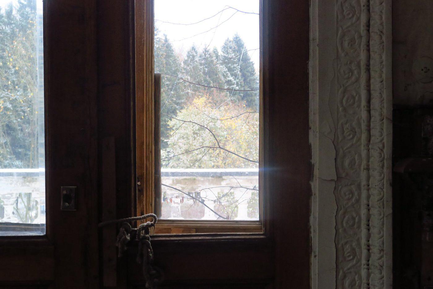 Вид из окна на парк.