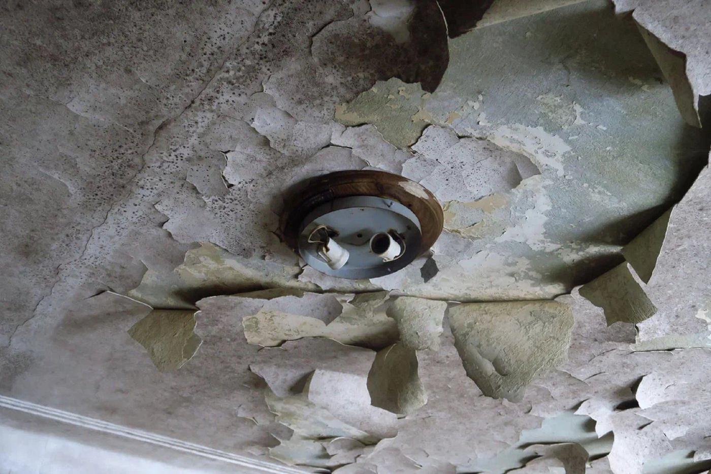 Потолочная штукатурка.