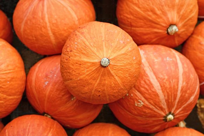 Названа неожиданная польза тыквы