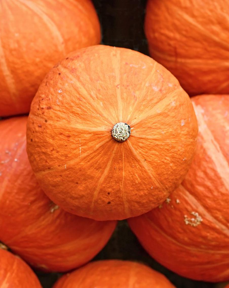 Названа неожиданная польза тыквы