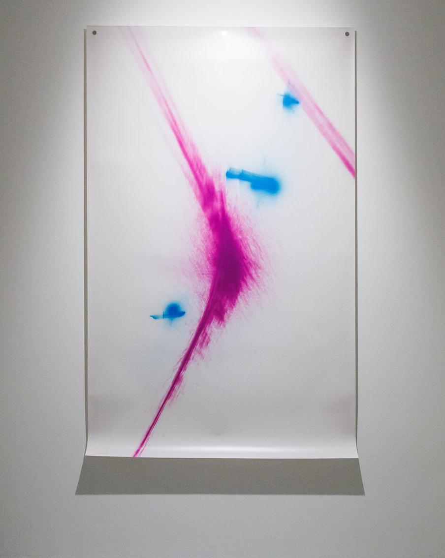 Фотография Александра Егорова на выставке "Лучи солнца в листве айвового дерева"