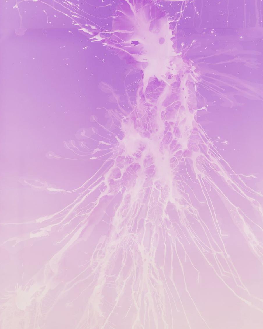 Фотография Александра Егорова на выставке "Лучи солнца в листве айвового дерева"