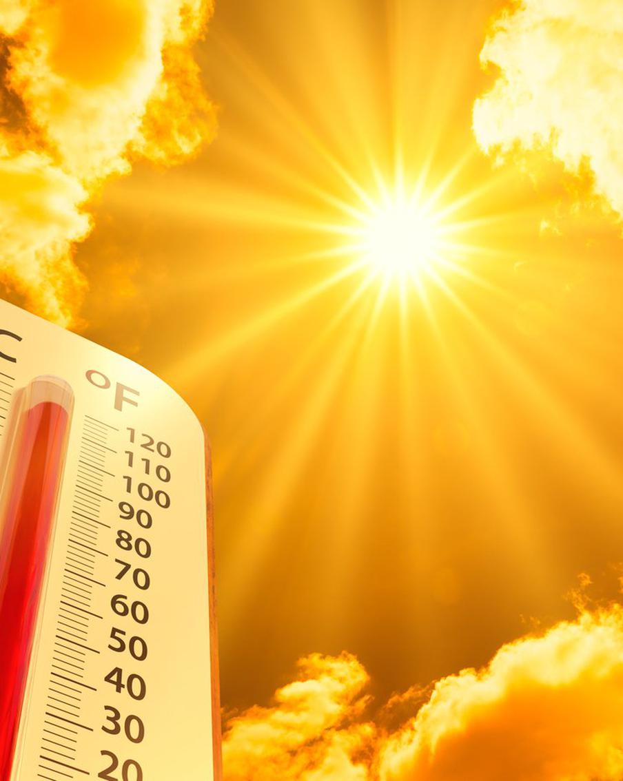 Что может решить проблему глобального изменения климата