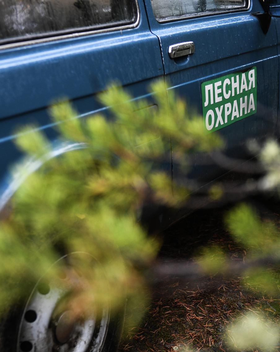 В акции "Чистый лес" в этом году приняли участие свыше 1200 жителей Московской области