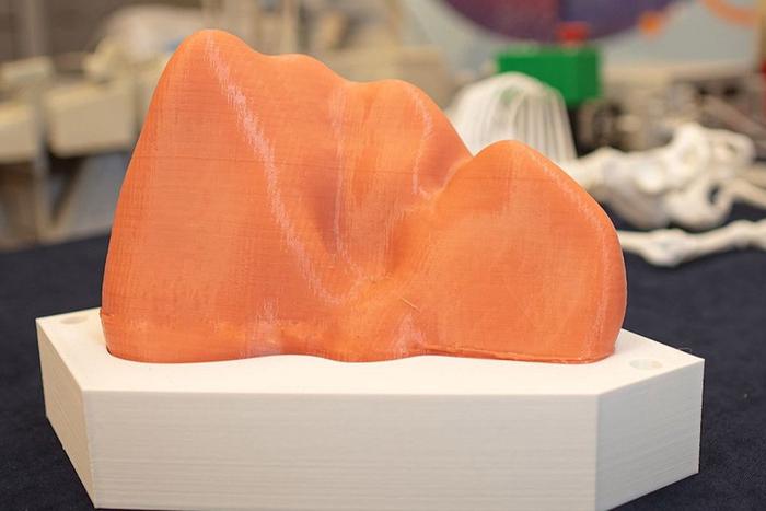 Московские учёные разработали модель печени – по ней изучают любое заболевание