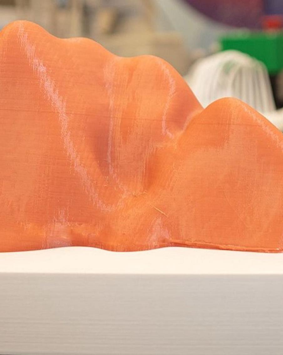 Московские учёные разработали модель печени – по ней изучают любое заболевание