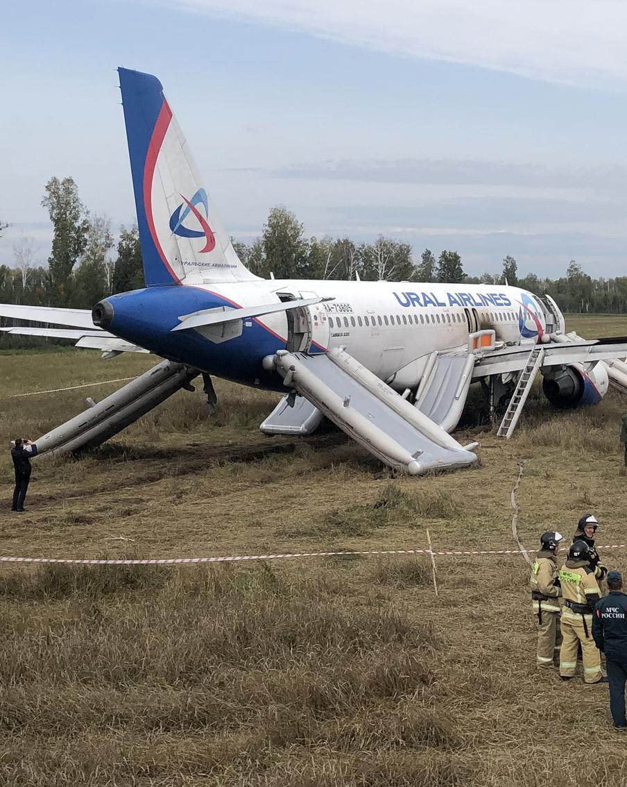 Росавиация завершила расследование посадки самолёта в поле под Новосибирском