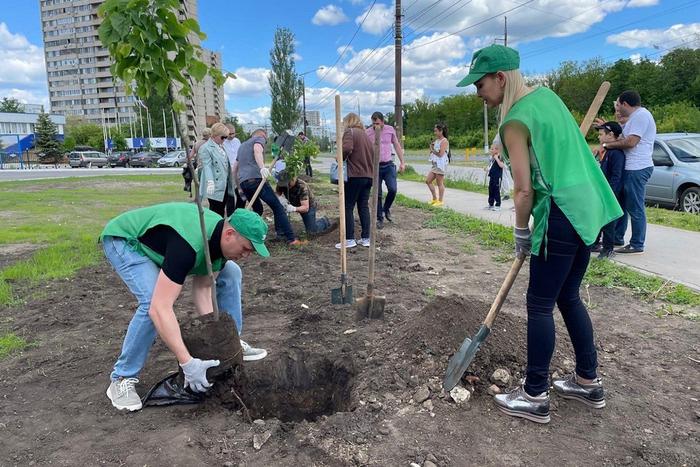 Плюсик в карму: как малый бизнес занимается благотворительностью и кому это нужно
