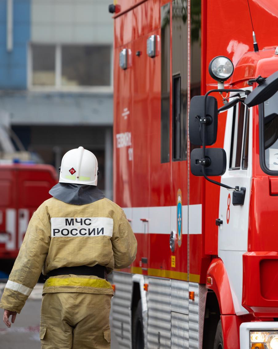 Спасённый на пожаре котёнок нашёл новый дом