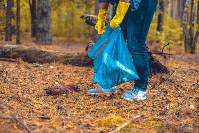 Учащиеся школьного лесничества "Внуковский лес" теперь в "Движении Первых"