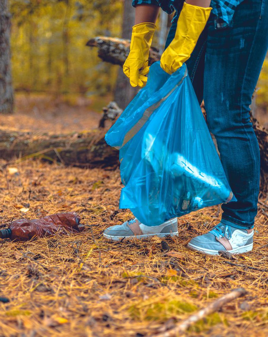 Учащиеся школьного лесничества "Внуковский лес" теперь в "Движении Первых"