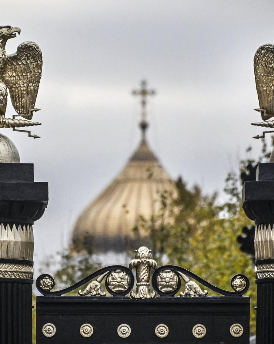 Во Франции назвали способствующие победе России в спецоперации факторы