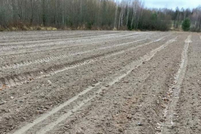 В леcных питомниках Подмосковья провели подготовку почвы под посадку семян дуба и каштана