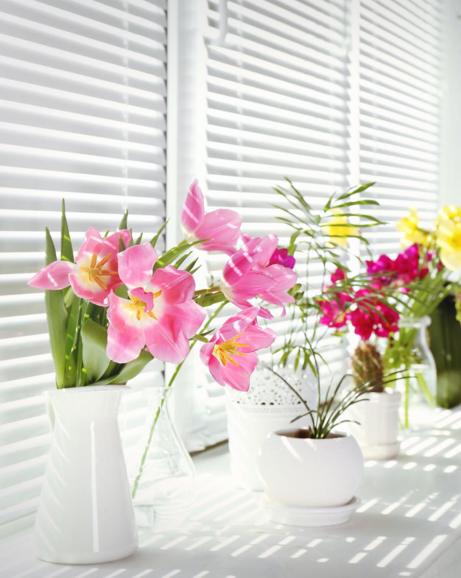 Семь домашних растений, которые будут радовать цветением круглый год